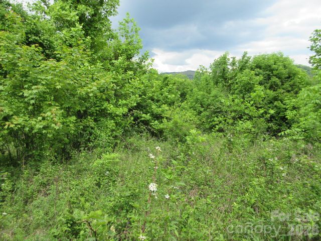 0 Rocky Top Trail 4, Hot Springs, NC 28743