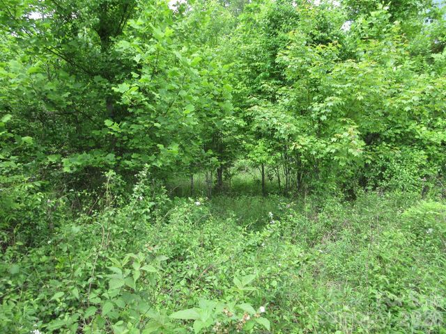 0 Rocky Top Trail 4, Hot Springs, NC 28743