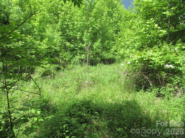 0 Rocky Top Trail 4, Hot Springs, NC 28743