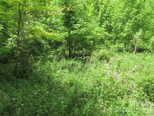 0 Rocky Top Trail 4, Hot Springs, NC 28743
