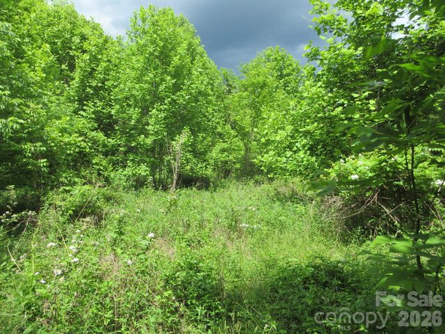 0 Rocky Top Trail 4, Hot Springs, NC 28743