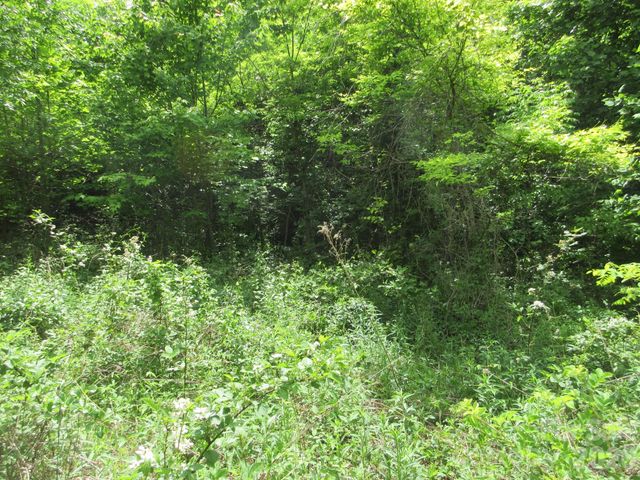 0 Rocky Top Trail 4, Hot Springs, NC 28743