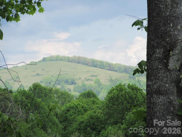 0 Rocky Top Trail 4, Hot Springs, NC 28743