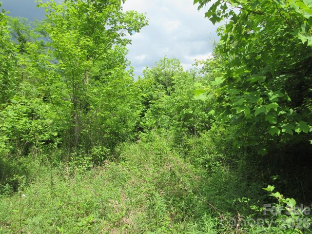 0 Rocky Top Trail 4, Hot Springs, NC 28743