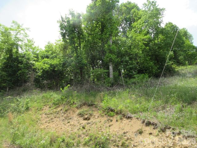 0 Rocky Top Trail 4, Hot Springs, NC 28743