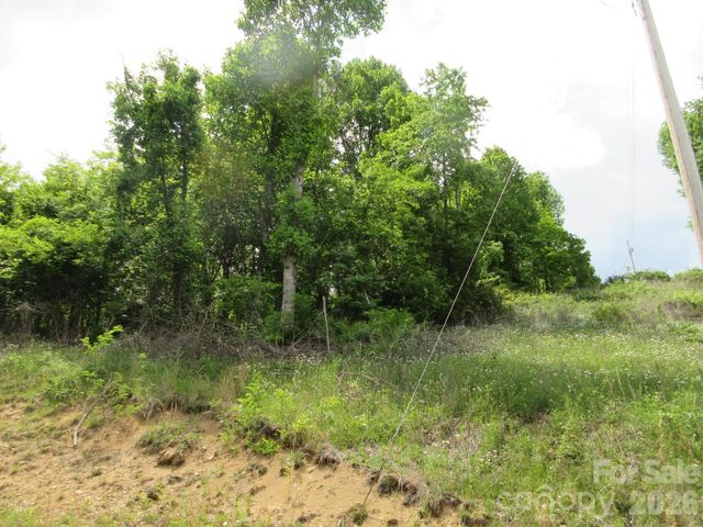 0 Rocky Top Trail 4, Hot Springs, NC 28743