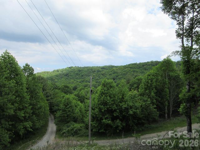 0 Rocky Top Trail 4, Hot Springs, NC 28743