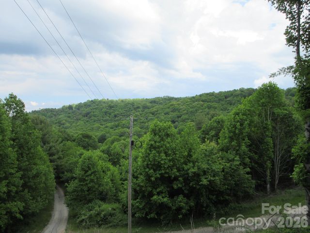 0 Rocky Top Trail 4, Hot Springs, NC 28743