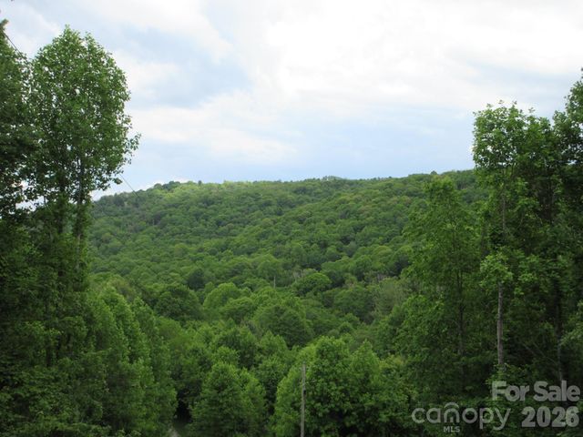 0 Rocky Top Trail 4, Hot Springs, NC 28743