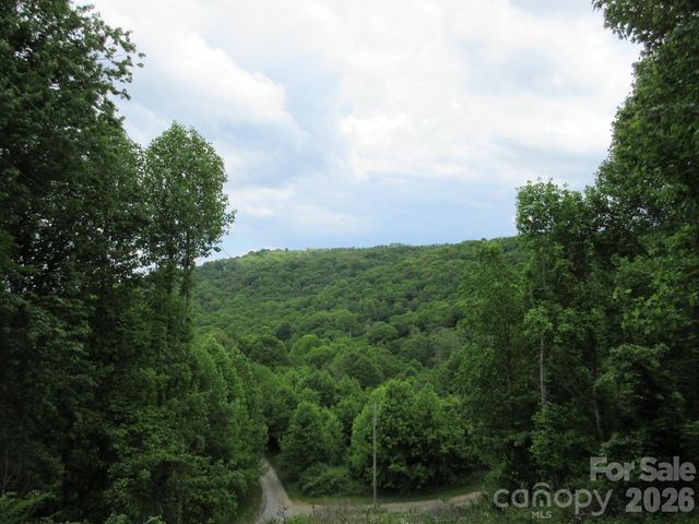 0 Rocky Top Trail 4, Hot Springs, NC 28743