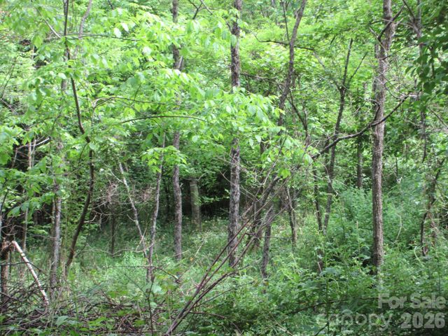 0 Rocky Top Trail 4, Hot Springs, NC 28743