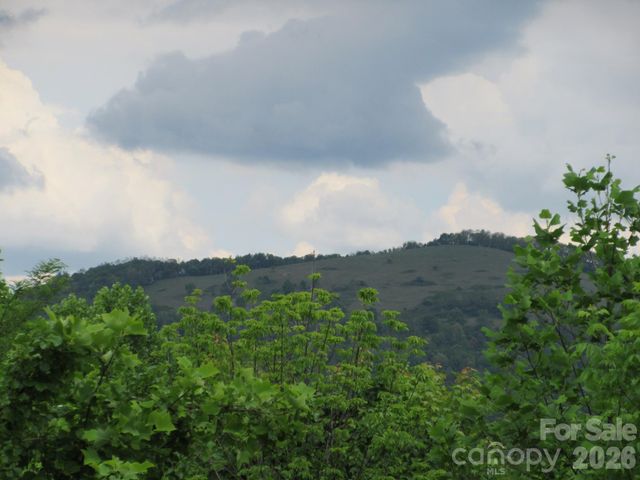 0 Rocky Top Trail 4, Hot Springs, NC 28743