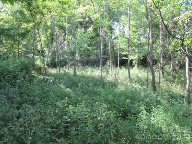 0 Rocky Top Trail 4, Hot Springs, NC 28743