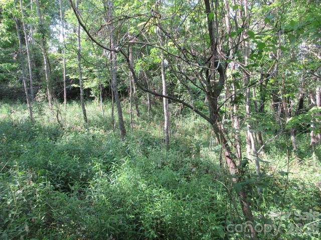 0 Rocky Top Trail 4, Hot Springs, NC 28743