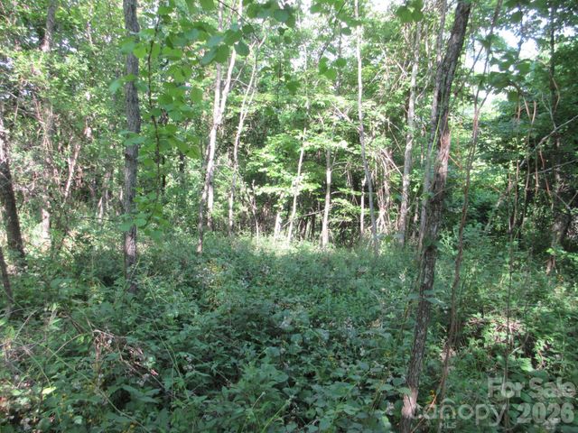 0 Rocky Top Trail 4, Hot Springs, NC 28743