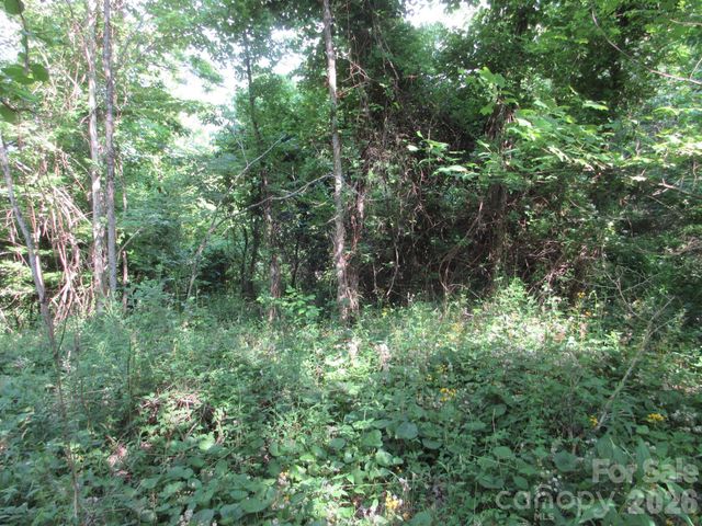 0 Rocky Top Trail 4, Hot Springs, NC 28743