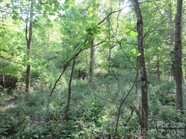 0 Rocky Top Trail 4, Hot Springs, NC 28743