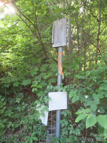 0 Rocky Top Trail 4, Hot Springs, NC 28743