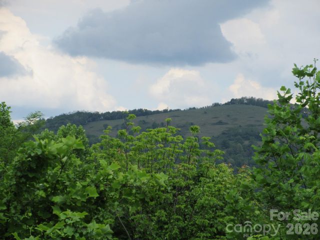 0 Rocky Top Trail 4, Hot Springs, NC 28743