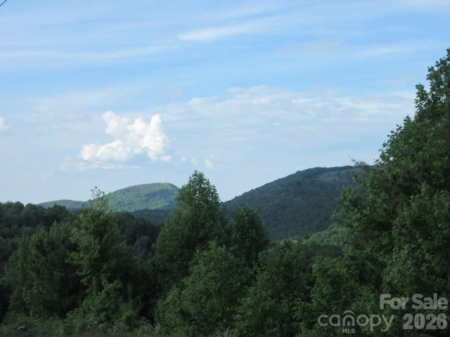 0 Rocky Top Trail 4, Hot Springs, NC 28743