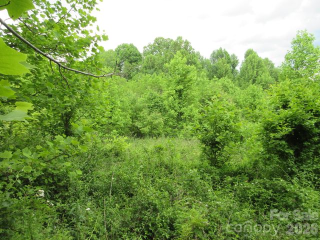 0 Rocky Top Trail 4, Hot Springs, NC 28743