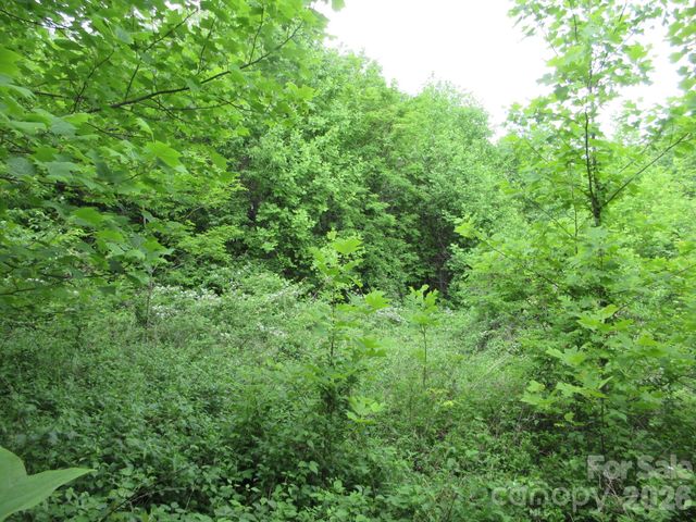 0 Rocky Top Trail 4, Hot Springs, NC 28743