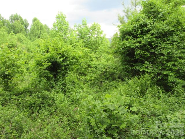 0 Rocky Top Trail 4, Hot Springs, NC 28743