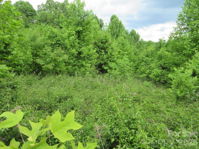 0 Rocky Top Trail 4, Hot Springs, NC 28743