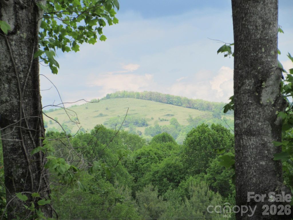 0 Rocky Top Trail 4, Hot Springs, NC 28743