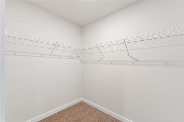 719 CONEFLOWER Way, Mcdonough, GA 30253