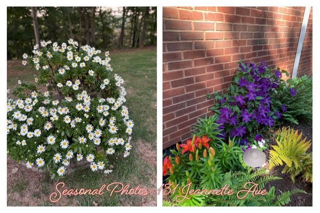 131 Jeannette Avenue, Frankfort, KY 40601