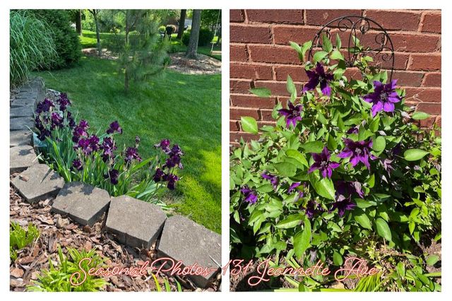 131 Jeannette Avenue, Frankfort, KY 40601