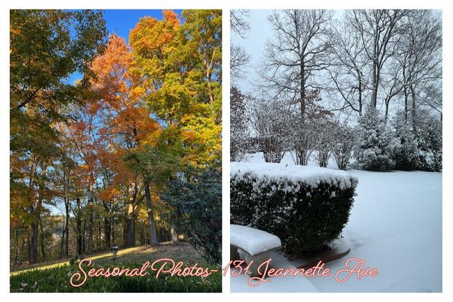 131 Jeannette Avenue, Frankfort, KY 40601