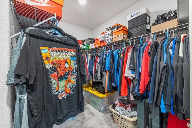 3703 GLOBE THISTLE DRIVE, Tampa, FL 33619