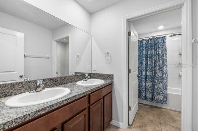 3703 GLOBE THISTLE DRIVE, Tampa, FL 33619