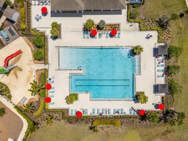 3703 GLOBE THISTLE DRIVE, Tampa, FL 33619