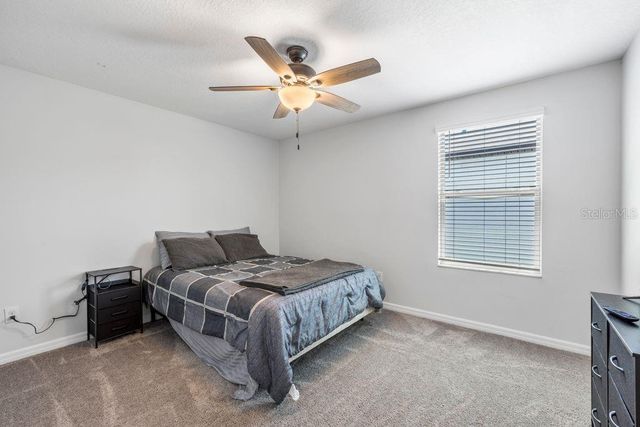 3703 GLOBE THISTLE DRIVE, Tampa, FL 33619