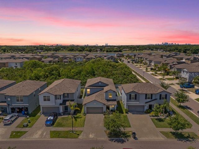 3703 GLOBE THISTLE DRIVE, Tampa, FL 33619