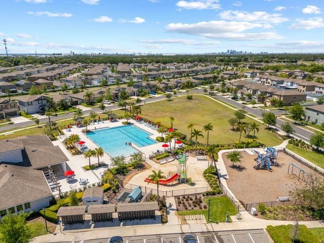 3703 GLOBE THISTLE DRIVE, Tampa, FL 33619