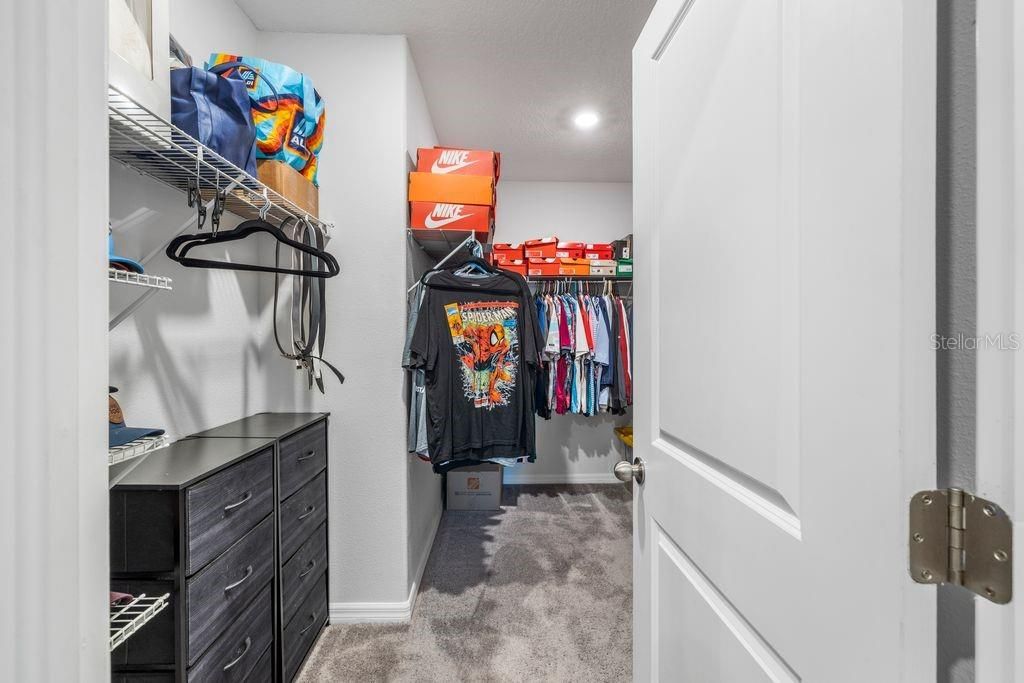Image 21 of property listing at 3703 GLOBE THISTLE DRIVE, Tampa, FL 33619