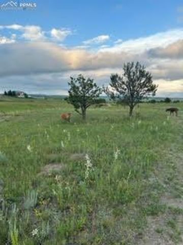 5409 Haes Haven View, Colorado Springs, CO 80908