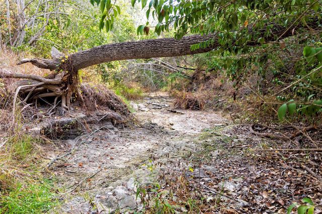 1250 Ladewig Lane, Flatonia, TX 78956