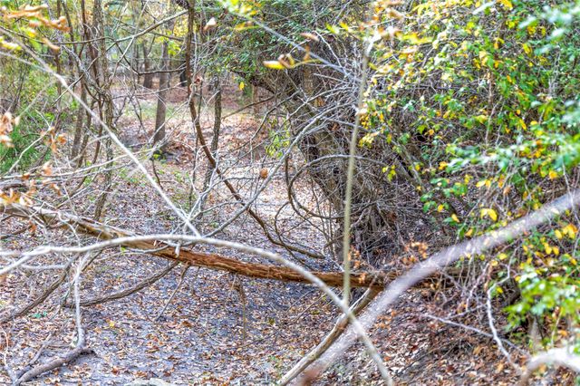 1250 Ladewig Lane, Flatonia, TX 78956