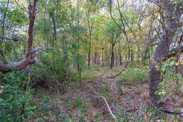 1250 Ladewig Lane, Flatonia, TX 78956