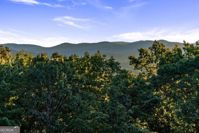 361 June Bug Lane, Blue Ridge, GA 30513