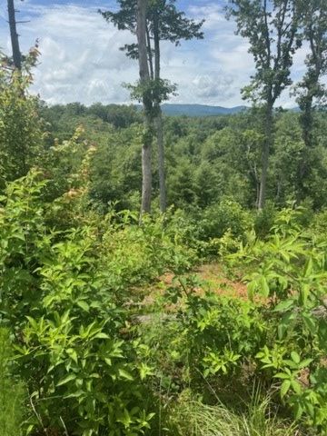 LT 104 River Knoll Trail, Ellijay, GA 30540