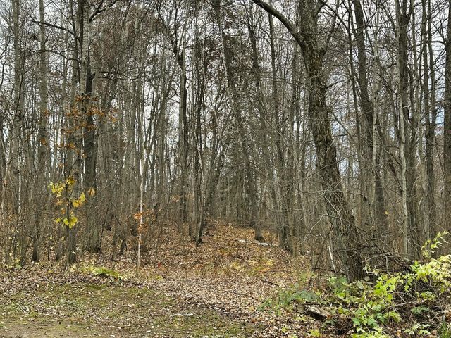 1353 State 371 NW, Backus, MN 56435