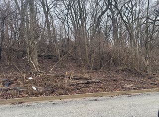 Lot 26, Block 1 Vacant N Fairview Avenue, Joliet, IL 60432