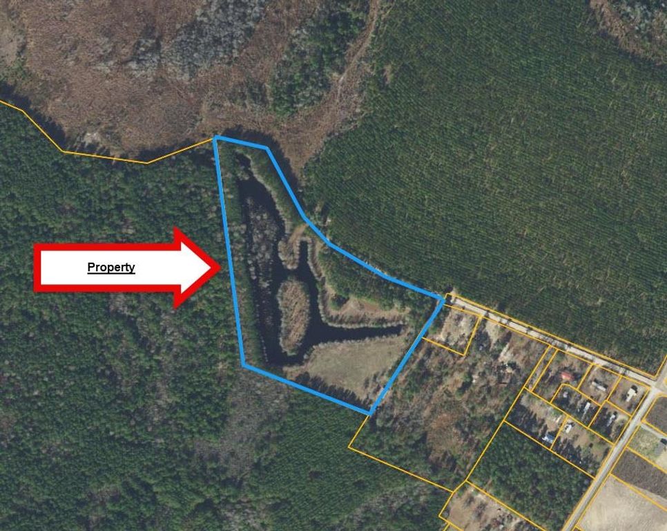 TBD Hardwick Rd., Nichols, SC 29581 — exterior