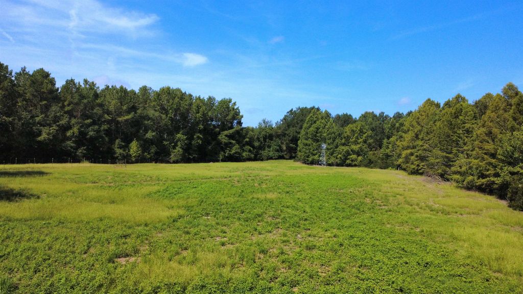 TBD Hardwick Rd., Nichols, SC 29581 — photo 2